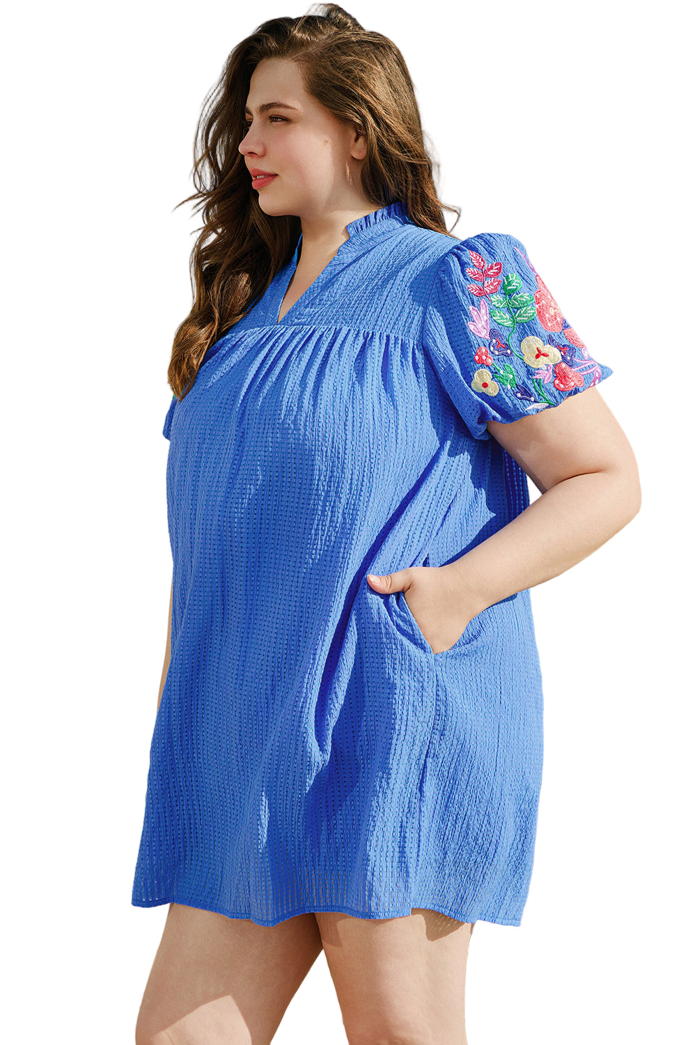 Sky Blue Plus Size Floral Embroidered Puff Sleeve Gingham Mini Dress