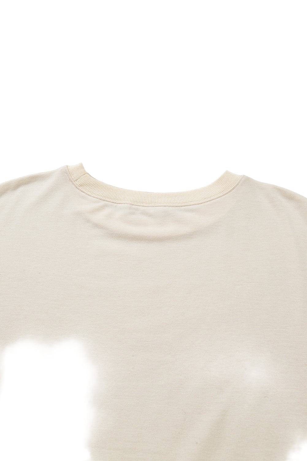 Beige Plus Size Plaid Patchwork Sleeve Pullover Top